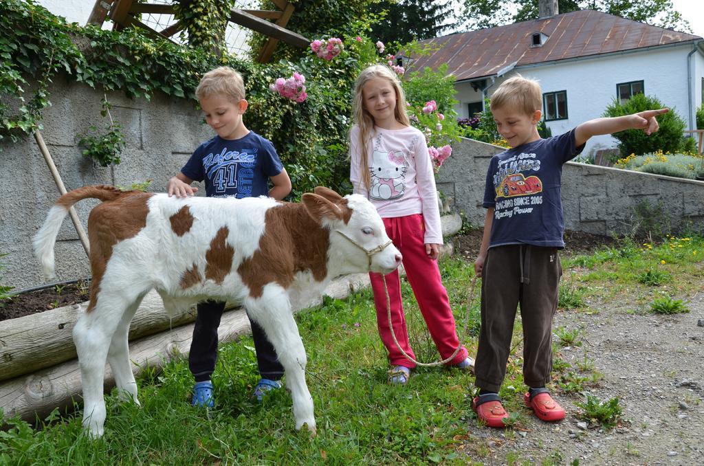 Ferienwohnung Vonwald Michelbach Exteriér fotografie