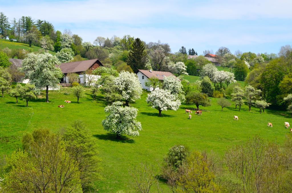 Ferienwohnung Vonwald Michelbach Exteriér fotografie