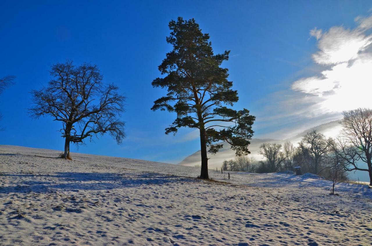 Ferienwohnung Vonwald Michelbach Exteriér fotografie
