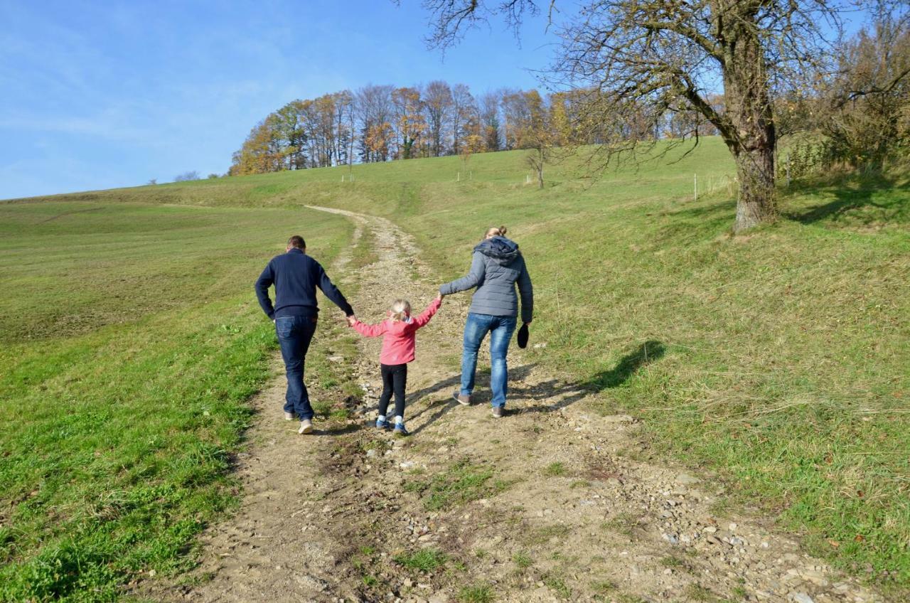 Ferienwohnung Vonwald Michelbach Exteriér fotografie